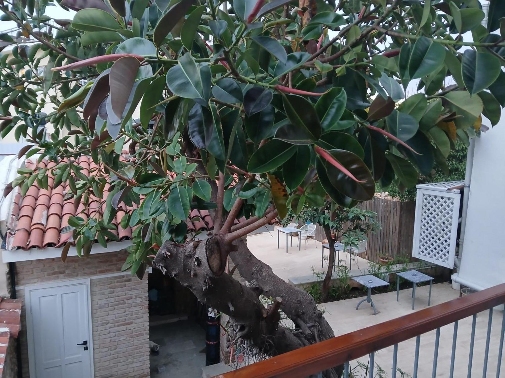 House Of Good Things Hotel Antalya Kültér fotó